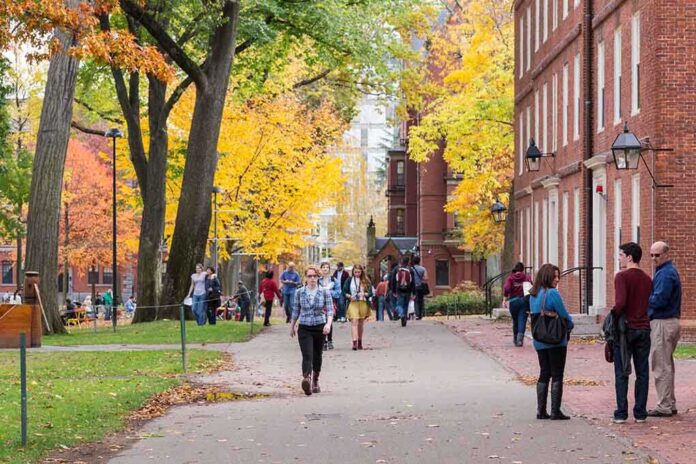 193437935 featured image People walking on a college campus in autumn.