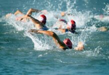 Group of swimmers racing in open water
