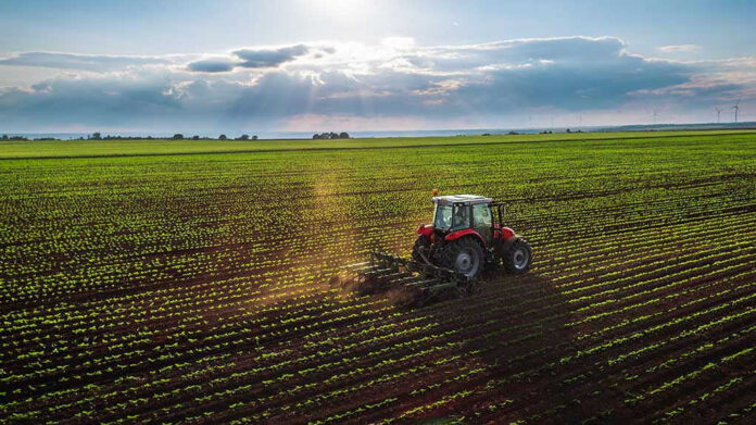 Tractor plowing a vast green field at sunset