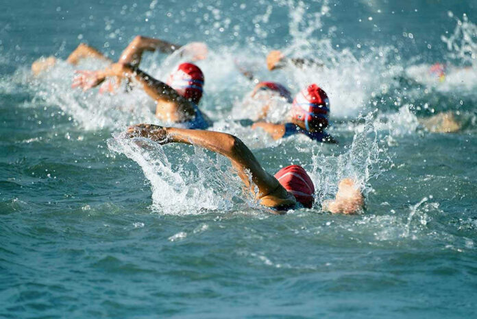 Group of swimmers racing in open water.