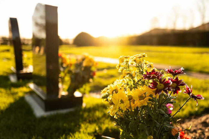 2410951197 Sunlit cemetery with flowers on headstone.