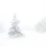 Foggy winter scene with snow-covered trees barely visible