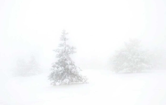 shutterstock_65429662.jpg Foggy winter scene with snow-covered trees barely visible
