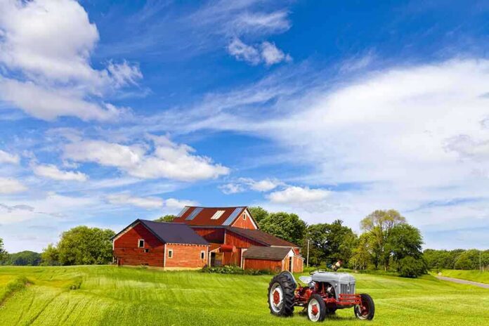 A vintage tractor in front of a red barn on a sunny day