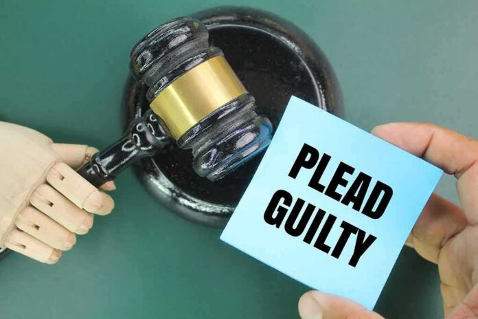shutterstock_2401329817 (3).jpg A wooden gavel next to a hand holding a blue card that says 'PLEAD GUILTY'