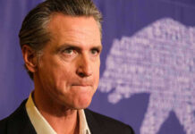 Newsom’s $19M Spin Machine Exposed Man in suit, solemn expression, purple background with bear drawing.