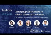 Emerging Cyberthreats to Global Financial Inclusion