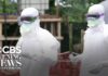 Ebola outbreak declared a global health emergency by WHO