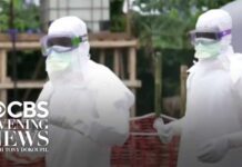 Deadly Ebola Strain—No Vaccine? WHO Declares Crisis Ebola outbreak declared a global health emergency by WHO