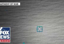 BREAKING: Trump releases UFO, alien life files