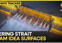 Bering Strait Mega Dam? Scientists Warn AMOC Collapse Risk Is Growing | WION Climate Tracker