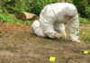 Forensic investigator in a protective suit collecting evidence from the ground