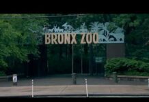 Bronx Zoo worker bitten by crocodile