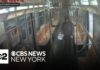 Homeless Man Burned—Judge Goes Light Man sentenced after allegedly setting NYC subway rider on fire