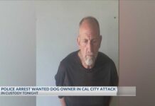 Man arrested in California City dog attack