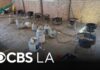 LA County deputies find meth lab with 800 pounds of narcotics during illegal dumping call