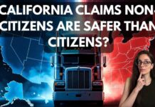30 Dead – Licensing Failures Exposed California Just Claimed Non-Citizen CDL Drivers Are Safer Than Americans