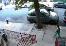 Brooklyn nurse killed in hit-and-run sparks renewed calls for safety improvements