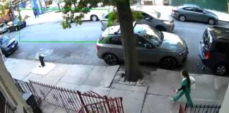 Brooklyn nurse killed in hit-and-run sparks renewed calls for safety improvements