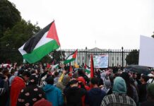 Crowd holding flags and signs outside a fenced government building