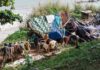 Abandoned Or Home? Demolition Sparks Lawsuit makeshift shelter near a beach with tarps and clothes drying