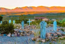 Desert cemetery with weathered blue wooden grave markers at sunset