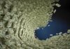 Housing Funds Vanish – U.S. Banks In Play Tornado of US dollar bills swirling into a vortex